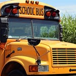 school bus, school, bus